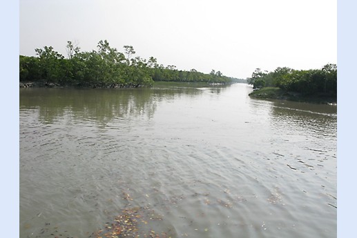 Viaggio in India 2008 - Sunderbans